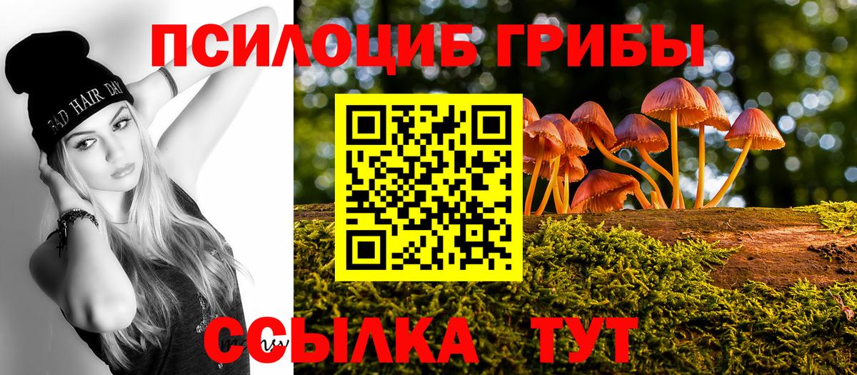 Москва  Галлюциногенные грибы ЛСД  Вход с VPN 